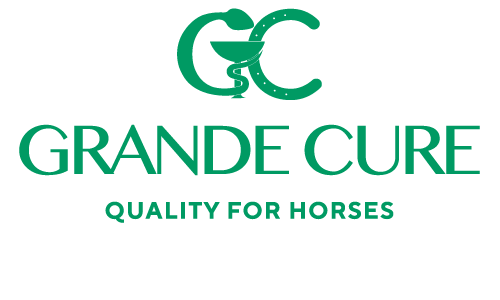 logo-grande-cure-contactpage