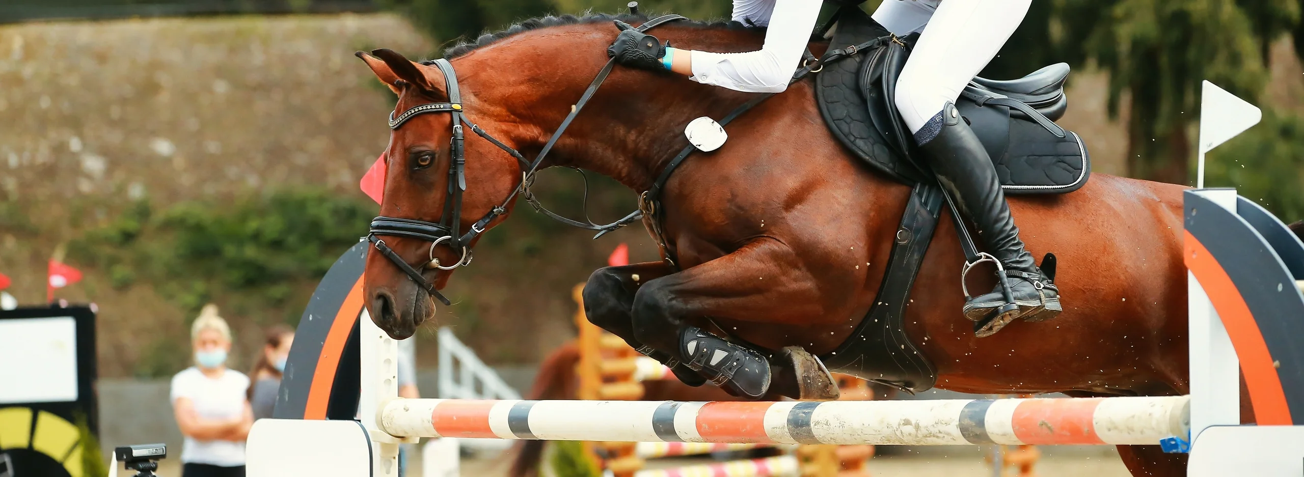 Spring Sport