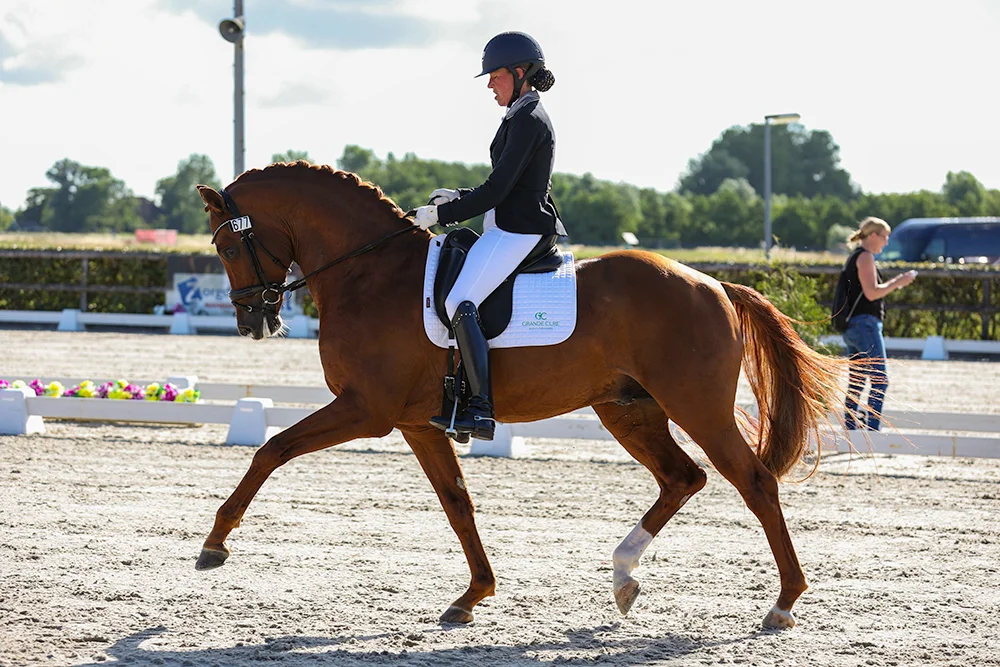 Dressage